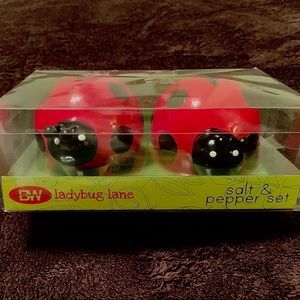 Ladybug salt & pepper shakers